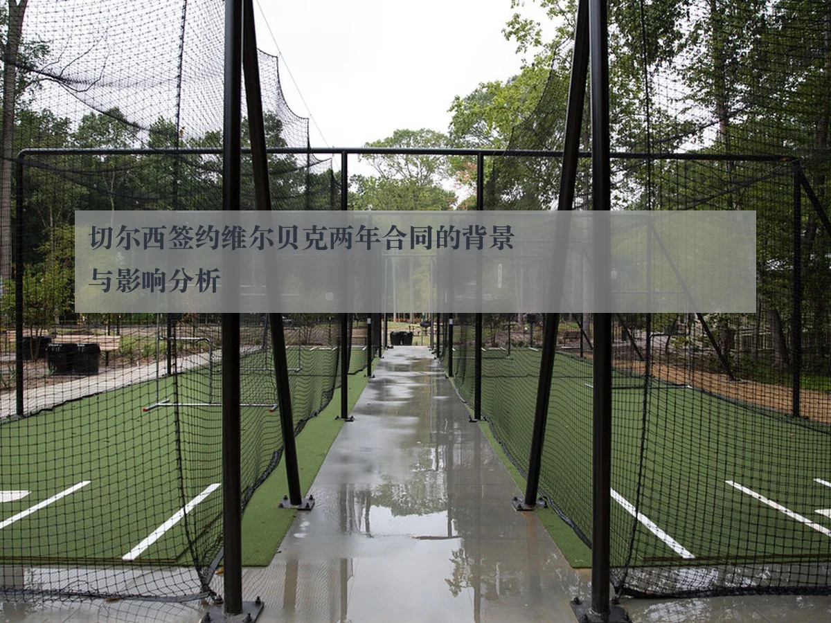 切尔西签约维尔贝克两年合同的背景与影响分析